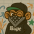 Rupe_62